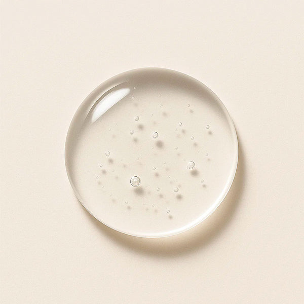 L'ÉLIXIR JELLY