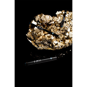 L'ESQUISSE DU REGARD