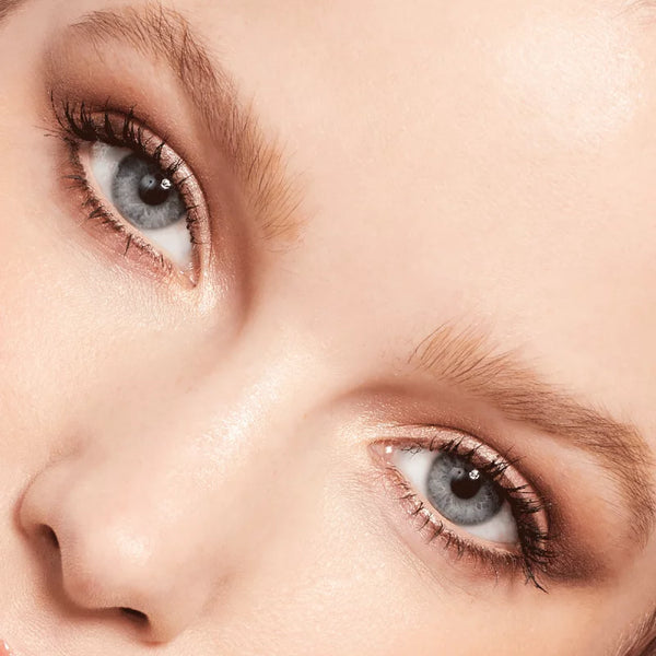 L'ESQUISSE DU REGARD