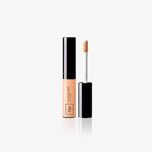 L’INOUBLIABLE - CONCEALER