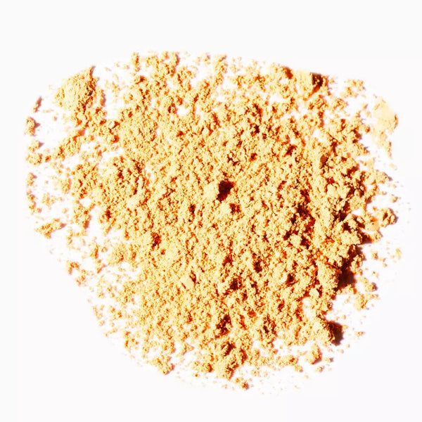 LE FOND DE TEINT MINÉRAL ET SON PINCEAU